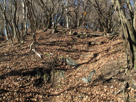 20171207hike (63)